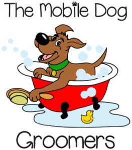 Dog Grooming Norwich